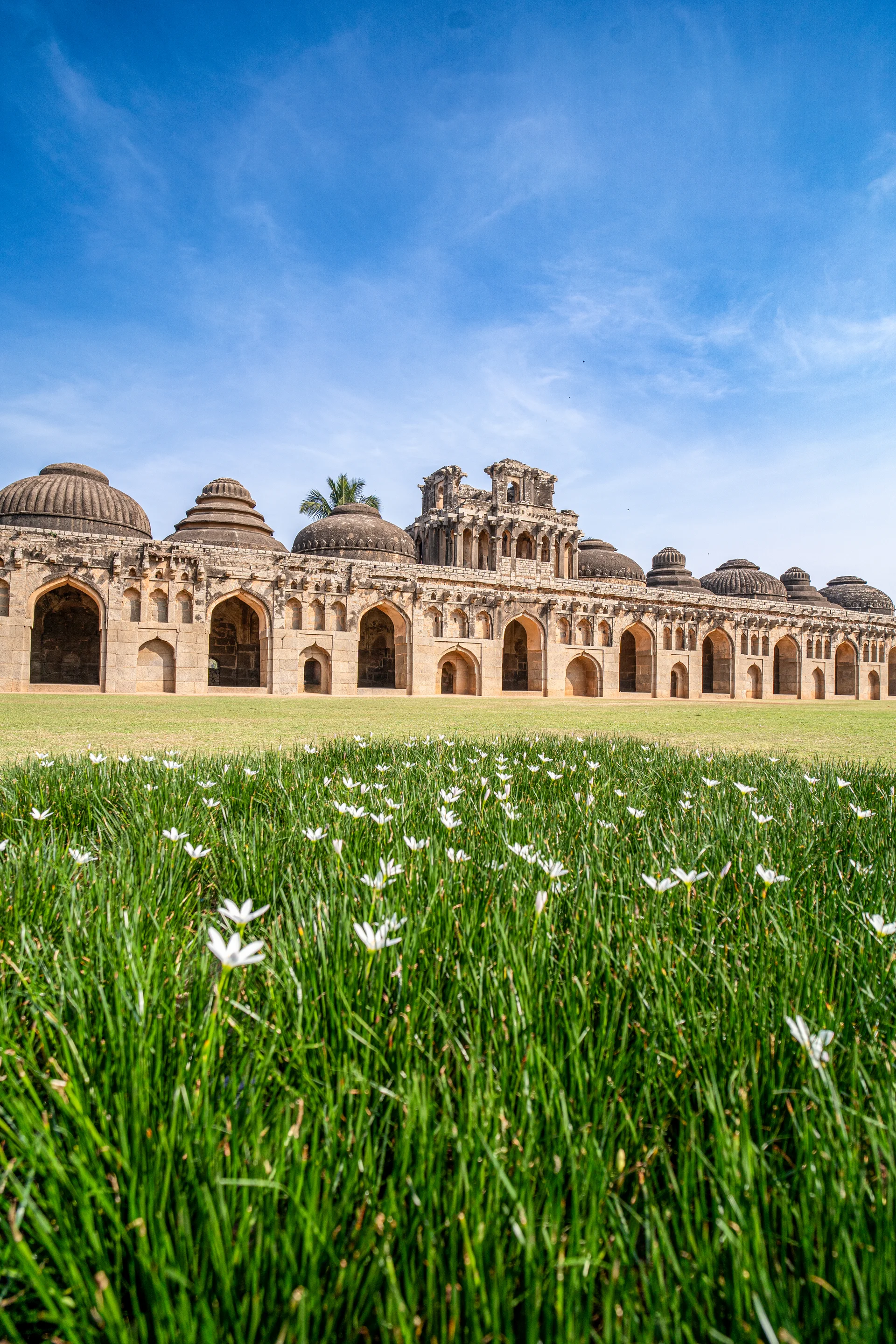 Elephant Stables. Animals wallpaper. 4000×6000px. Free download for personal use.