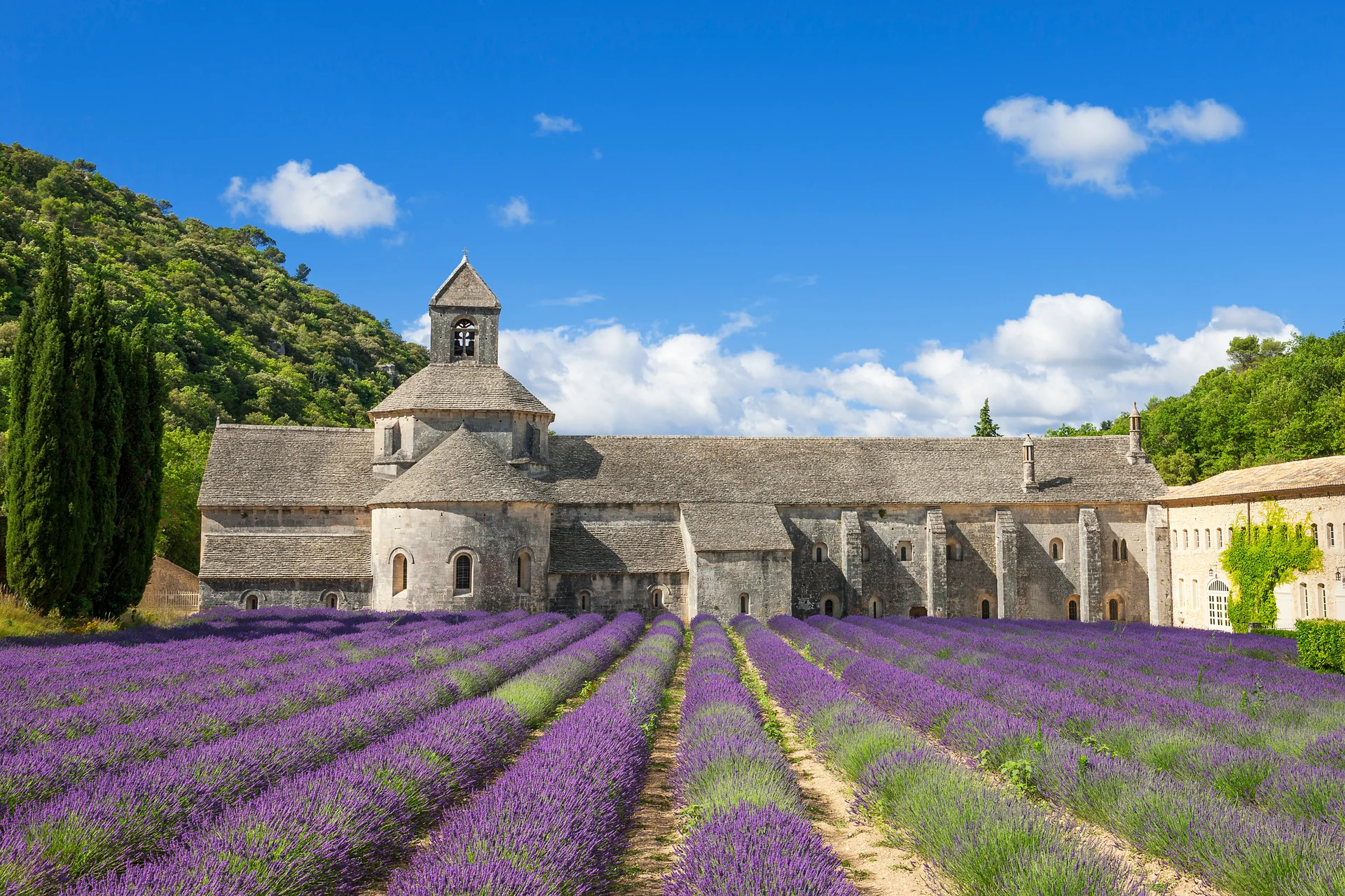 Famous Abbey Senanque Lavender Flowers France. Uncategorized wallpaper. 4700×3134px. Free download for personal use.