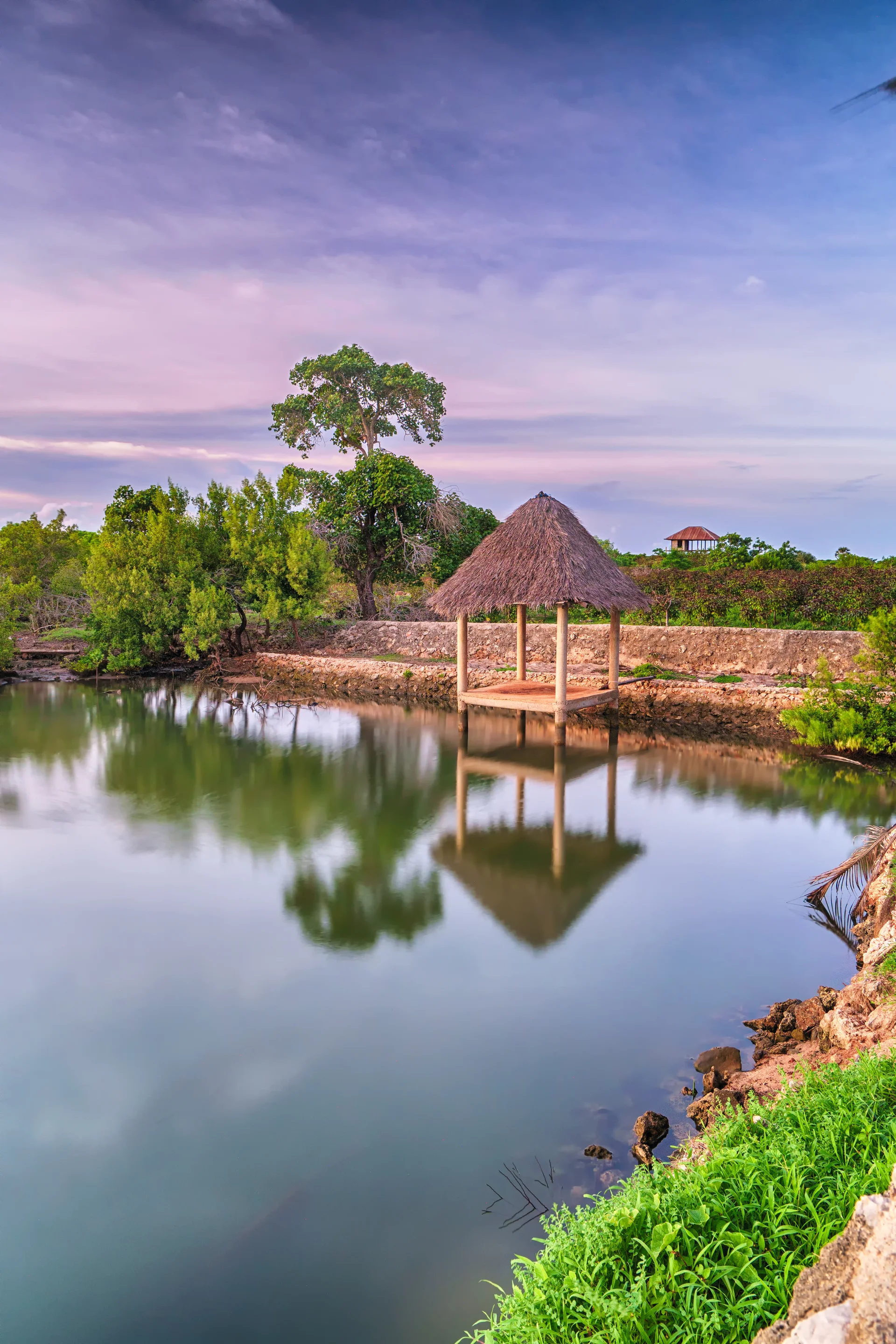 Fish Pond. Animals wallpaper. 4000×6000px. Free download for personal use.