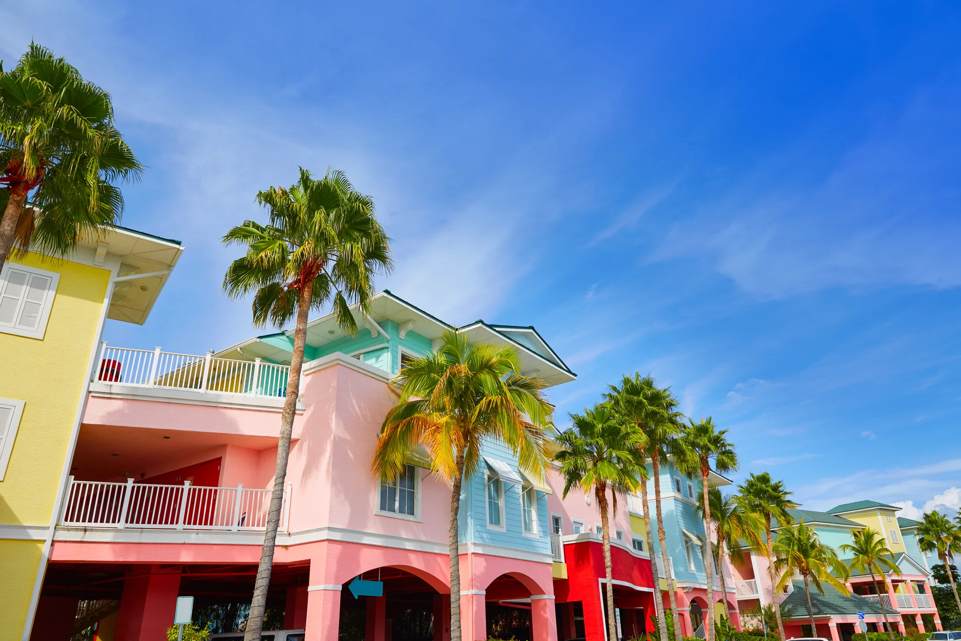Florida Fort Myers Colorful Palm Trees Facades. Uncategorized wallpaper. 5760×3840px. Free download for personal use.