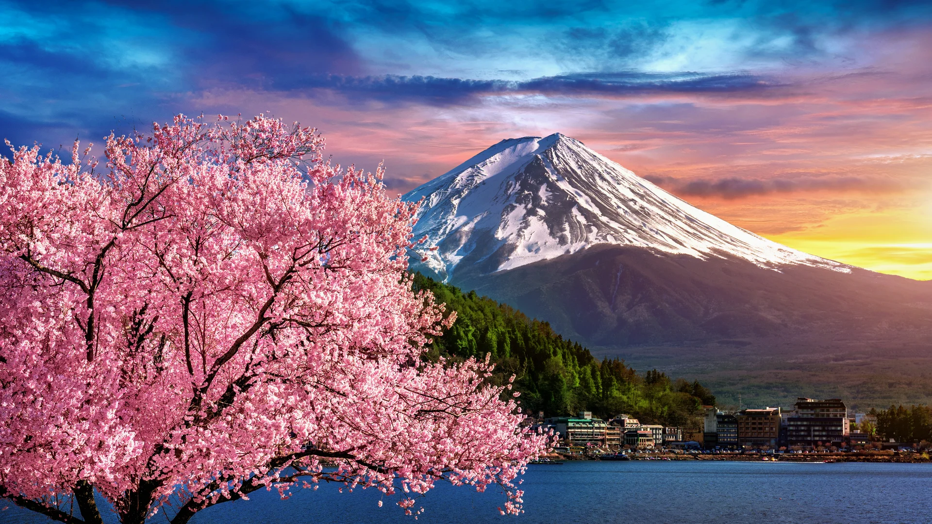 Fuji Mountain Cherry Blossoms Spring Japan. Nature wallpaper. 6000×3375px. Free download for personal use.