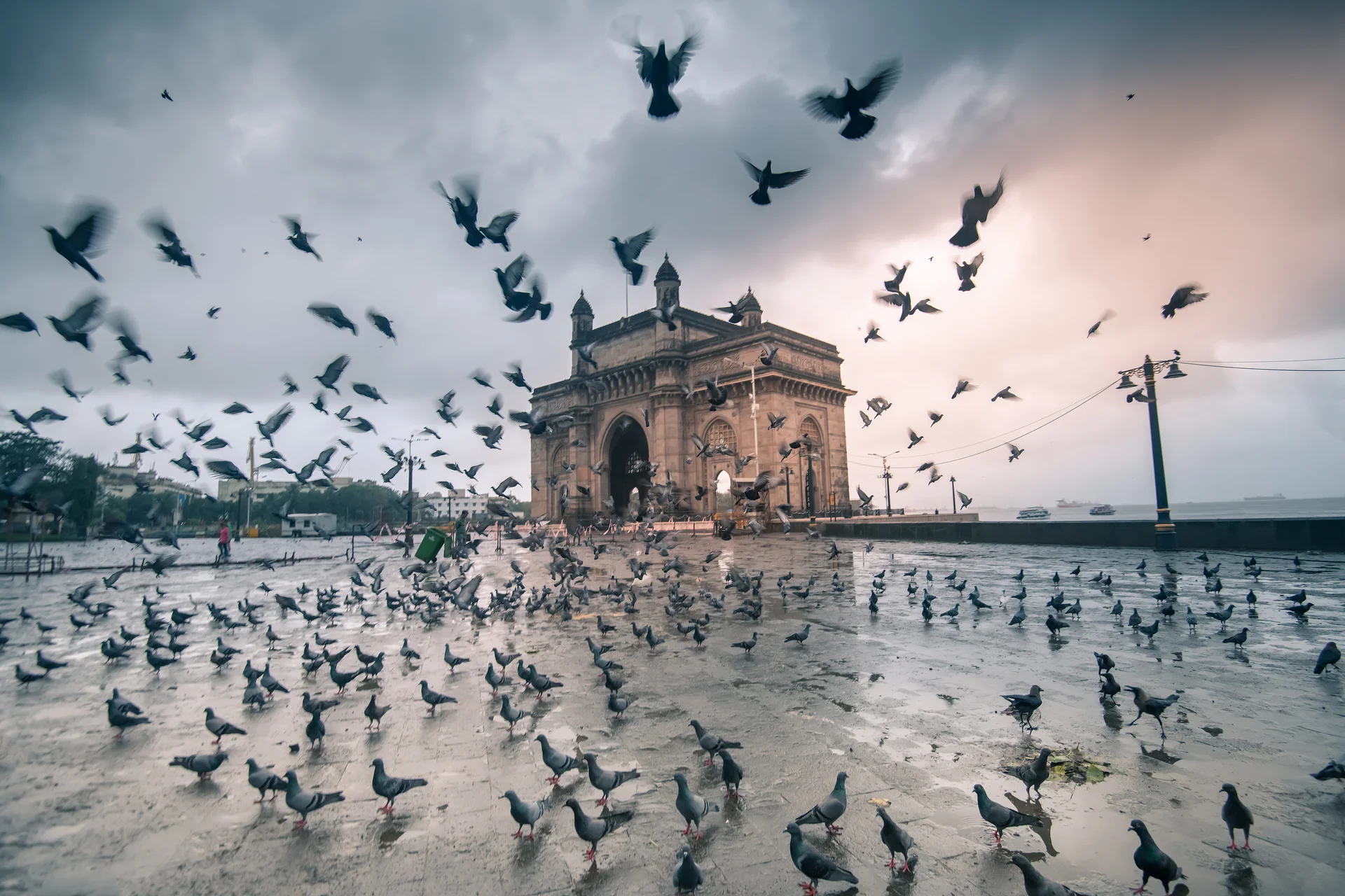 Gateway India Mumbai. Uncategorized wallpaper. 5000×3334px. Free download for personal use.