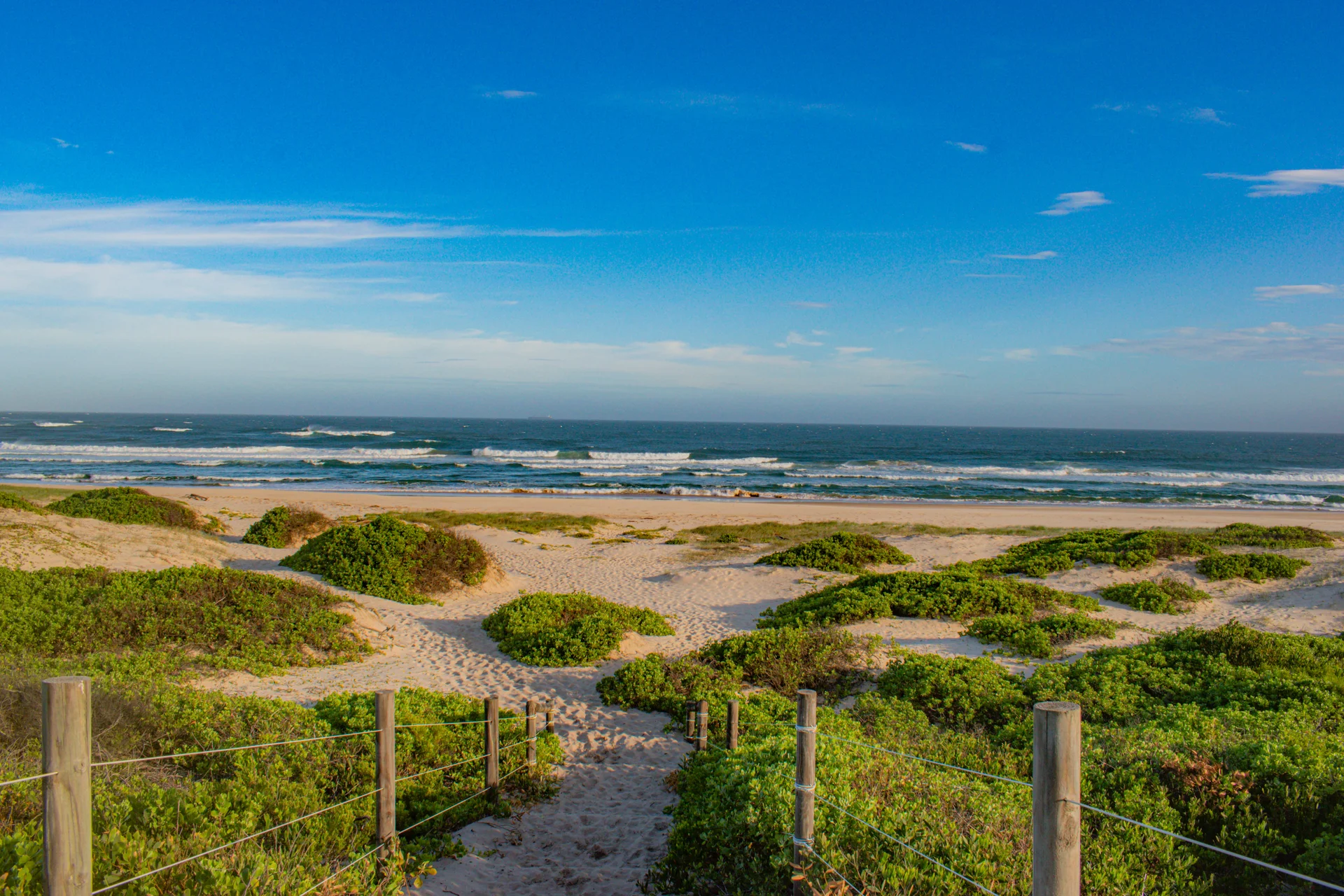 Green Beach Blue Sky. Nature wallpaper. 6000×4000px. Free download for personal use.