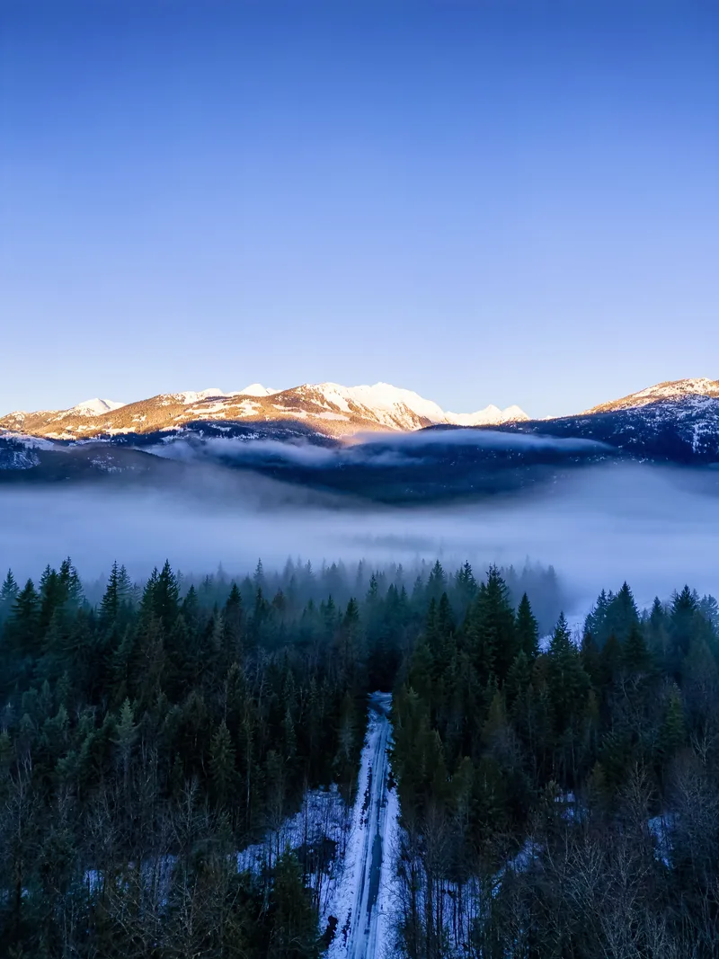 Green Trees Forest With Fog Mountains Sunrise Canadian Nature Landscape Background