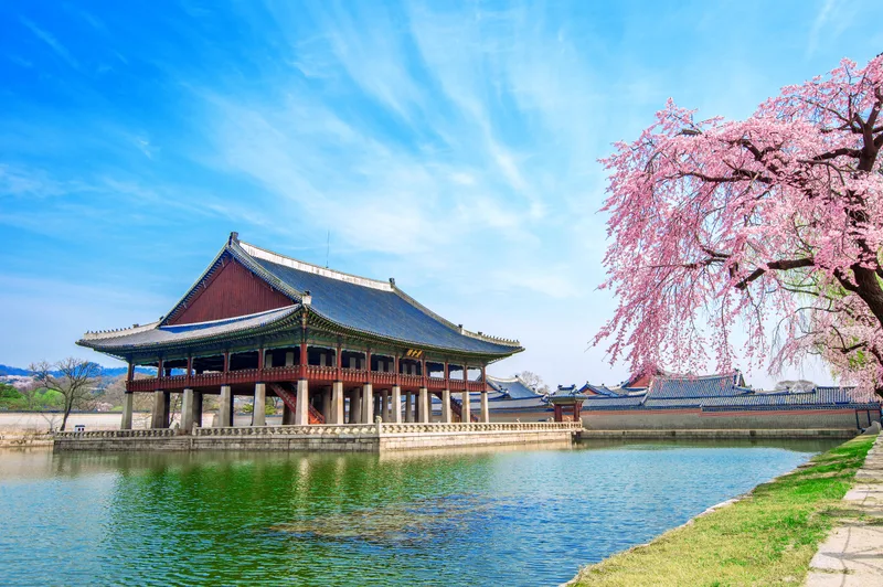 Gyeongbokgung Palace With Cherry Blossom Spring South Korea