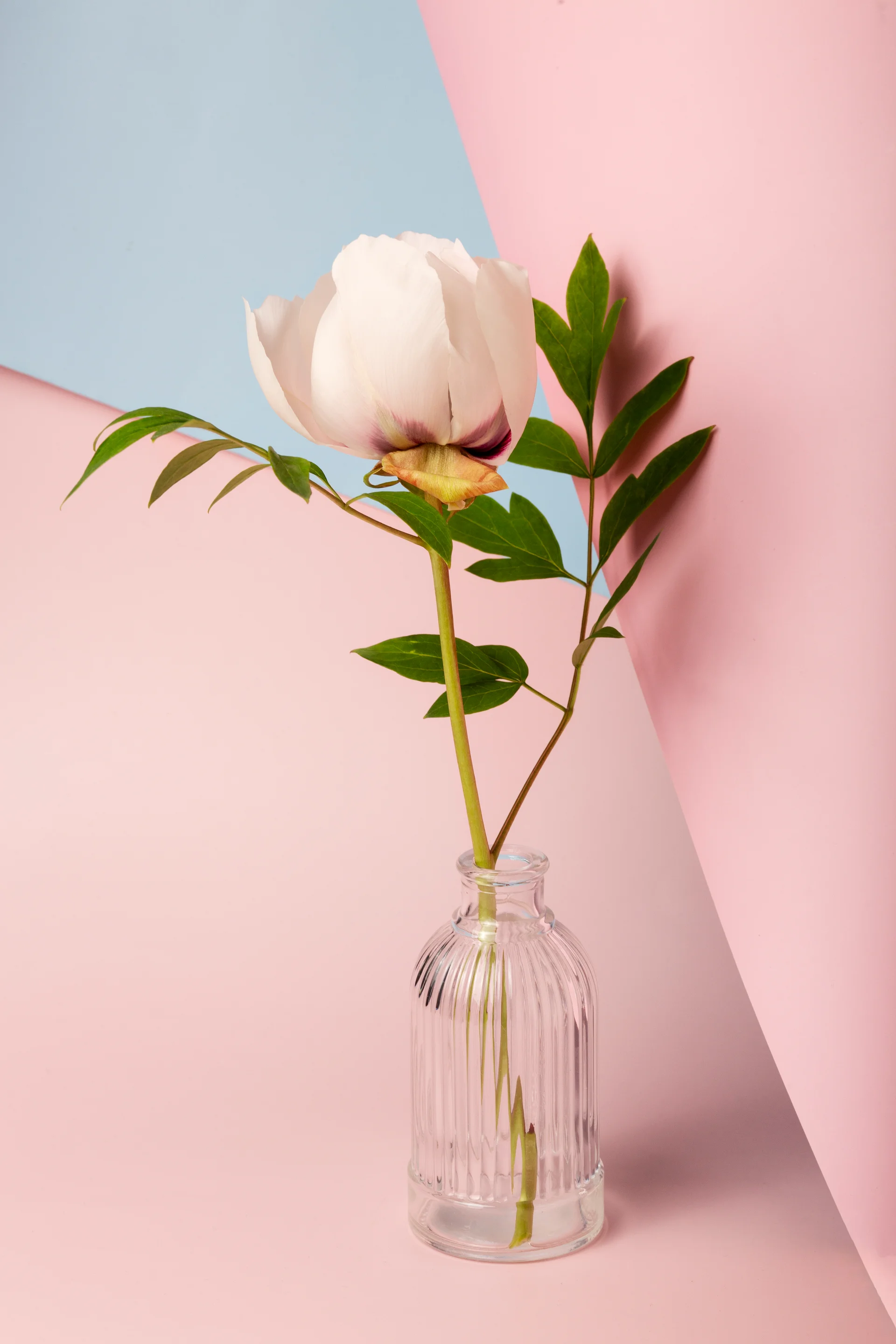 High Angle Beautiful Flower Vase Spring Wallpaper. Nature wallpaper. 3840×5760px. Free download for personal use.