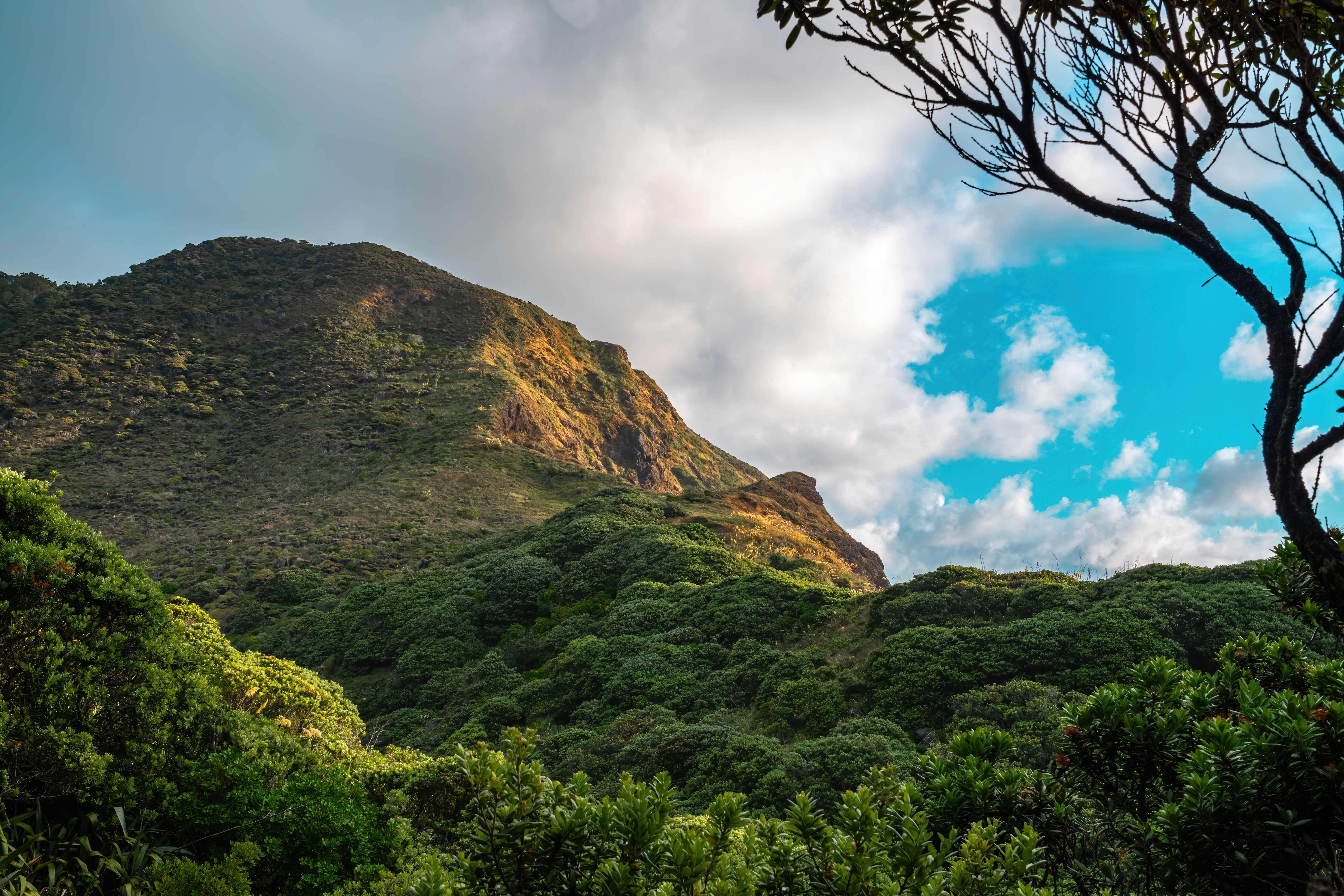 Hikurangi Takatu Head Mountain Piha