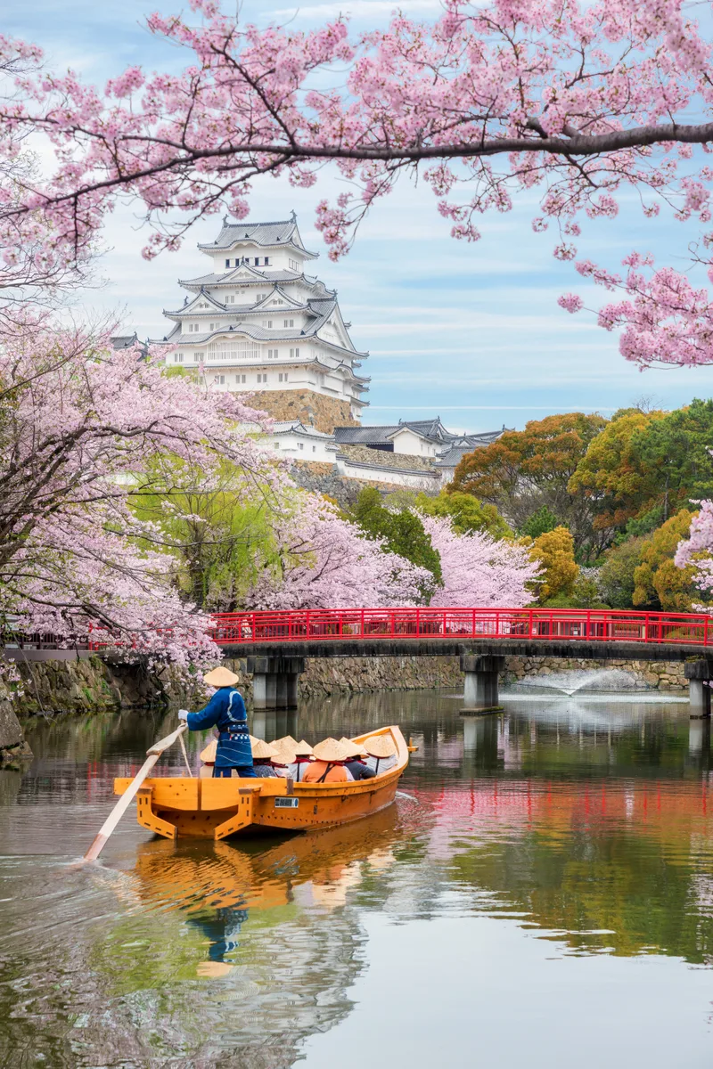 Himeji Castle With Beautiful Cherry Blossom Spring Season Hyogo Near Osaka Japan