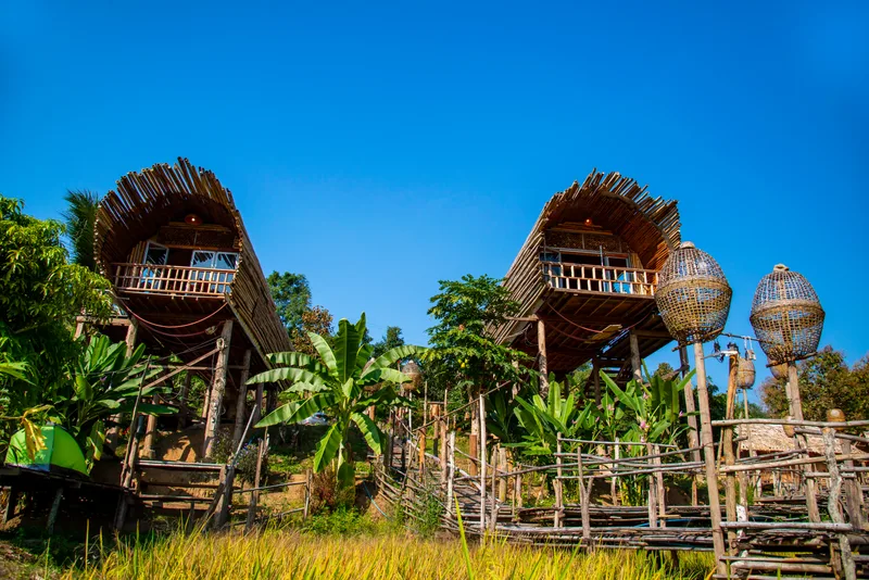Homestay Bamboo Forest House Made Bamboo Chiang Dao Chiangmai Thailand