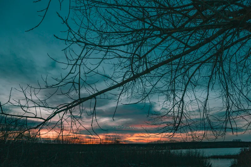 Inspiring View Sunset Light