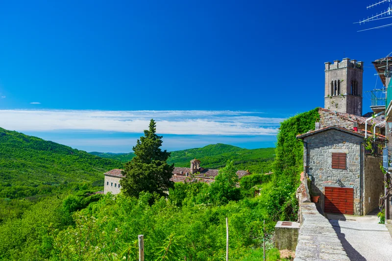 Italian Medieval Village Details Historical Stone Alley Green Coutryside Landscape Old City Stone Buildings Architecture Santa Fiora Tuscany Italy