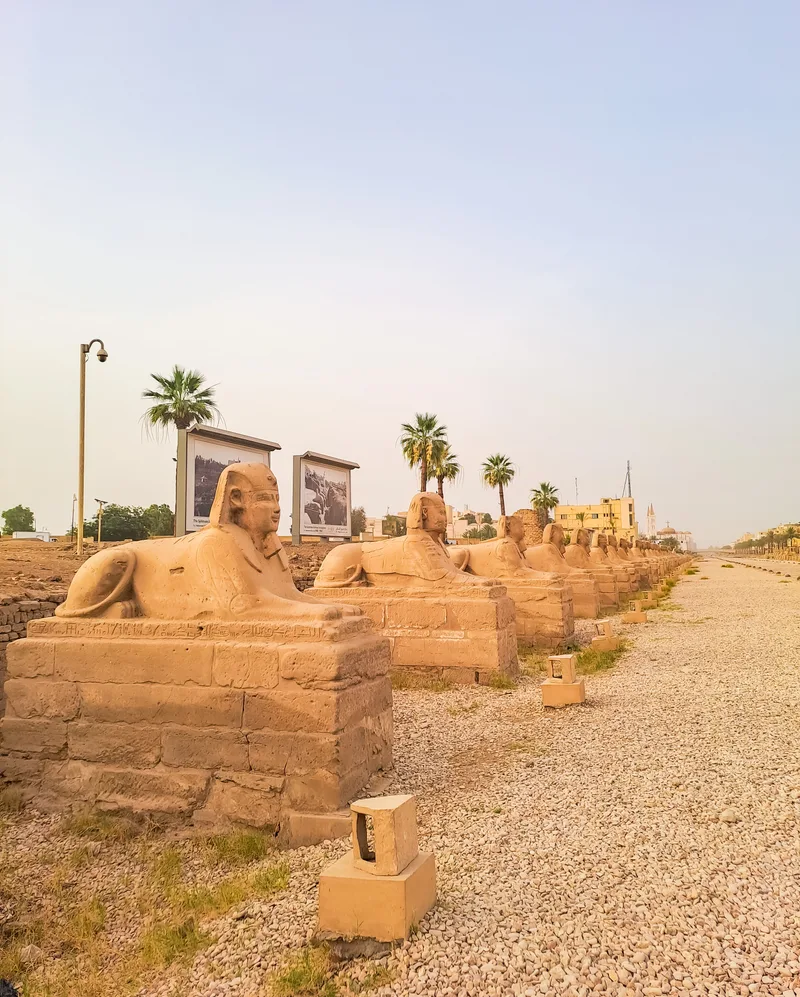 Karnak Temple Sphinxes Alley Ruins Temple