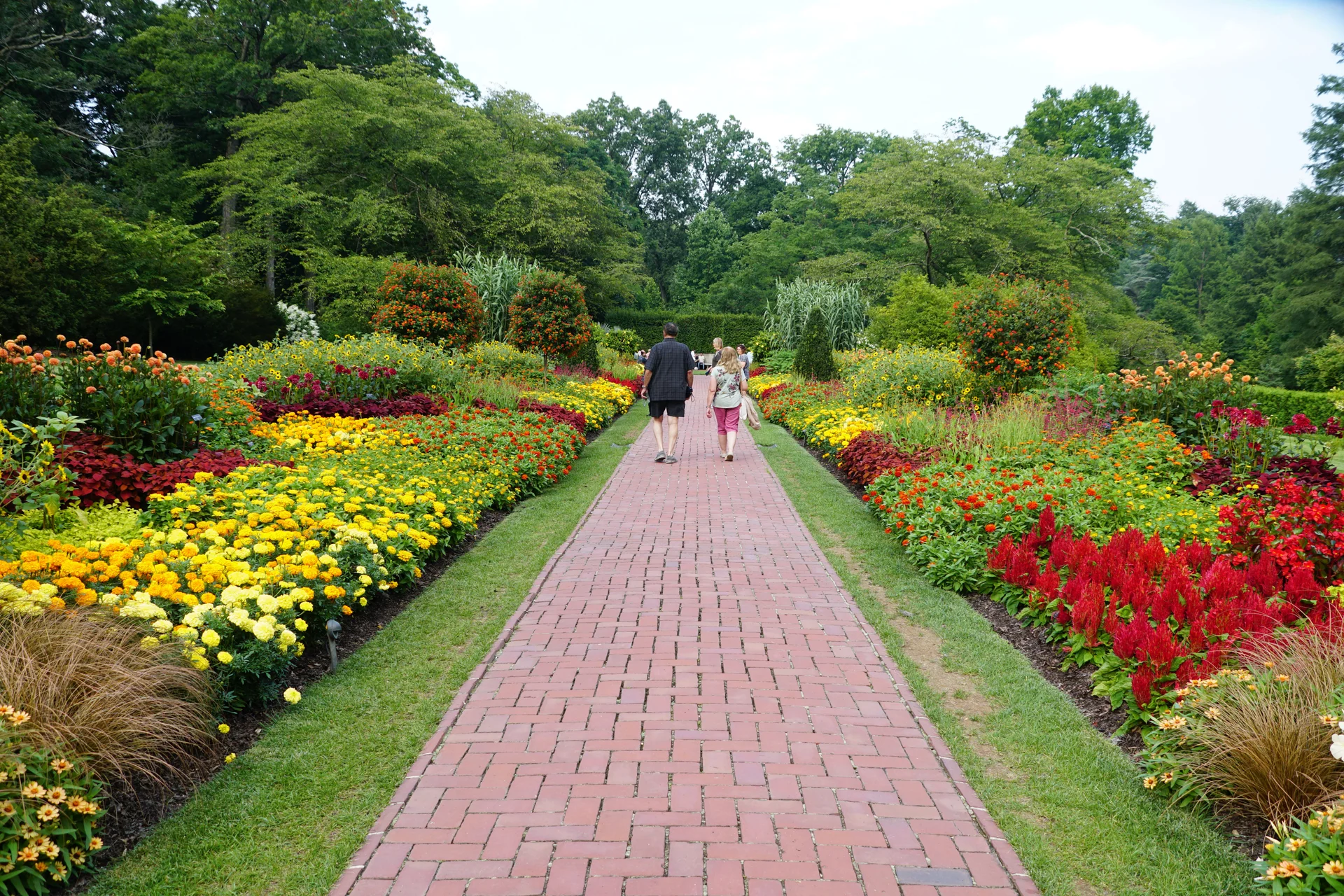 Kenneth Square Pennsylvania Us August 2 2023 Couple Walking Through Beautiful Flower Garden Summer. Nature wallpaper. 6000…