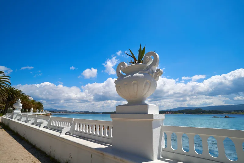 La Toja Island Toxa Beach Flower Pot Pontevedra