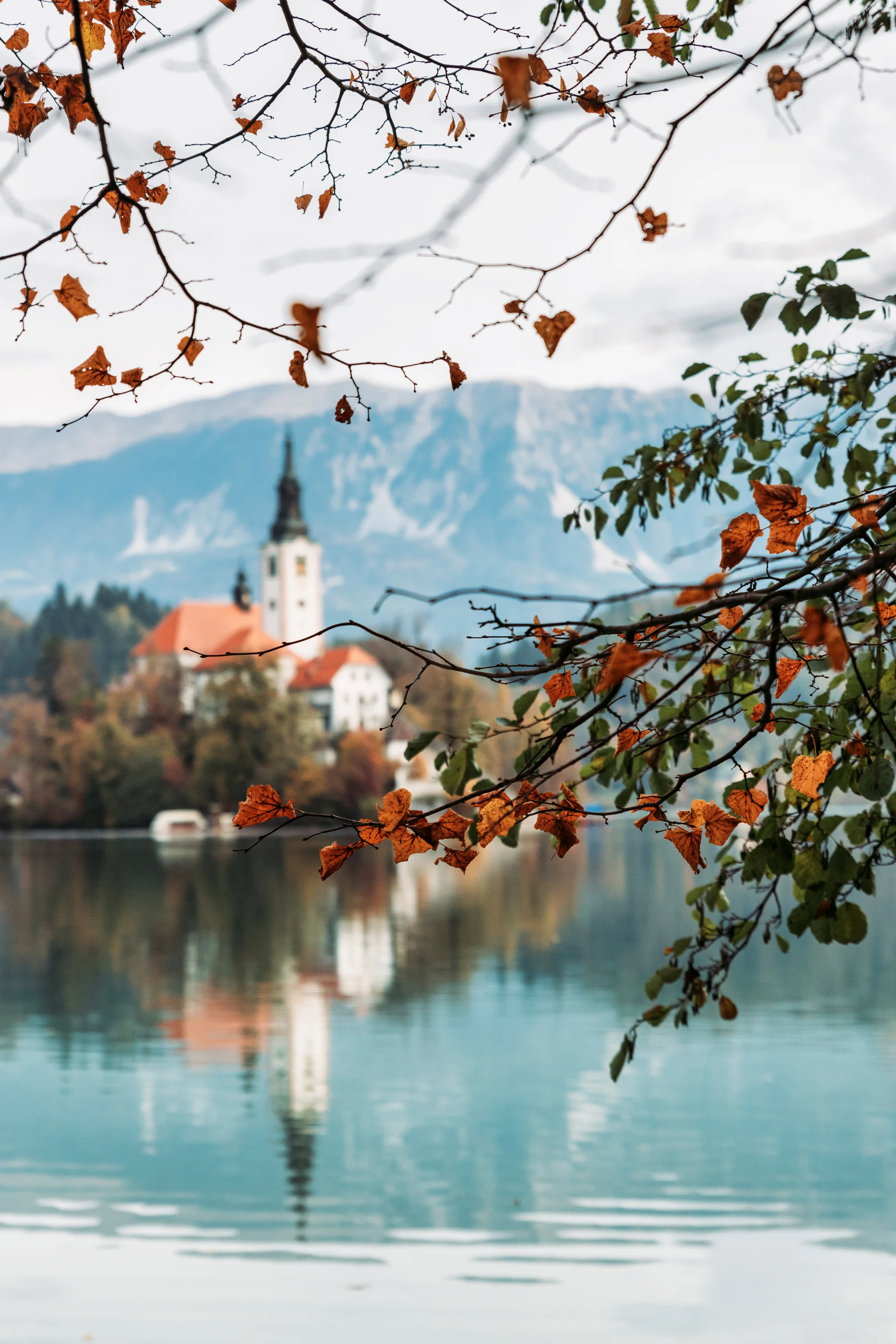 Lake Bled With Beautiful Reflections Autumn Season With Colorful Tree Branches. Nature wallpaper. 3975×5963px. Free downlo…
