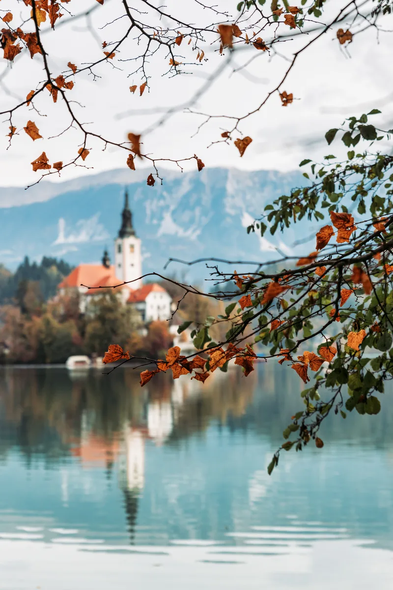 Lake Bled With Beautiful Reflections Autumn Season With Colorful Tree Branches
