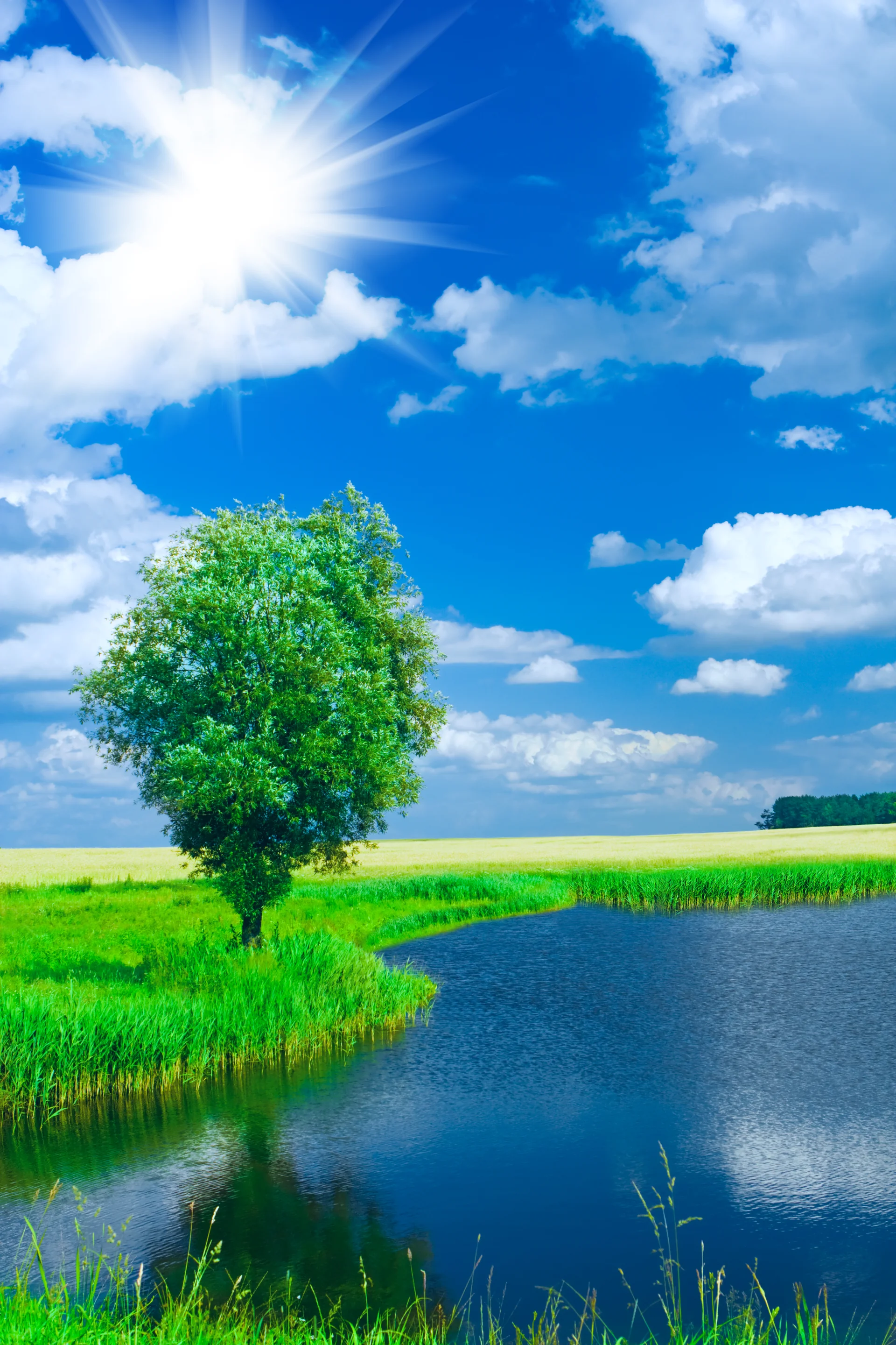 Lake Field. Nature wallpaper. 2304×3456px. Free download for personal use.