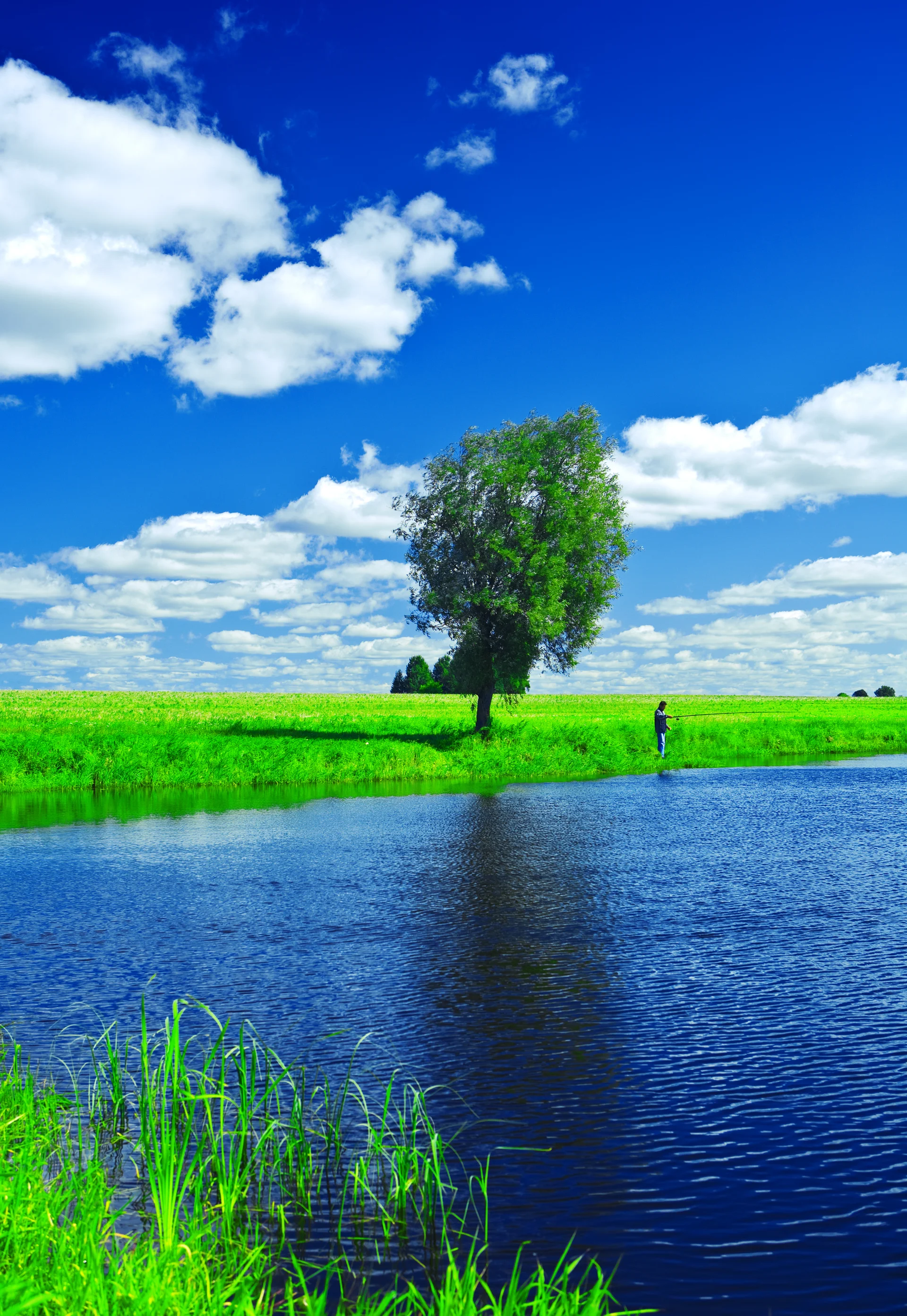 Lake Summer Field. Nature wallpaper. 2713×3936px. Free download for personal use.
