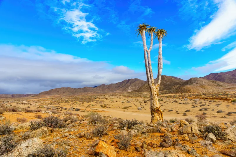 Landscape View Fields Hills Sunny Day