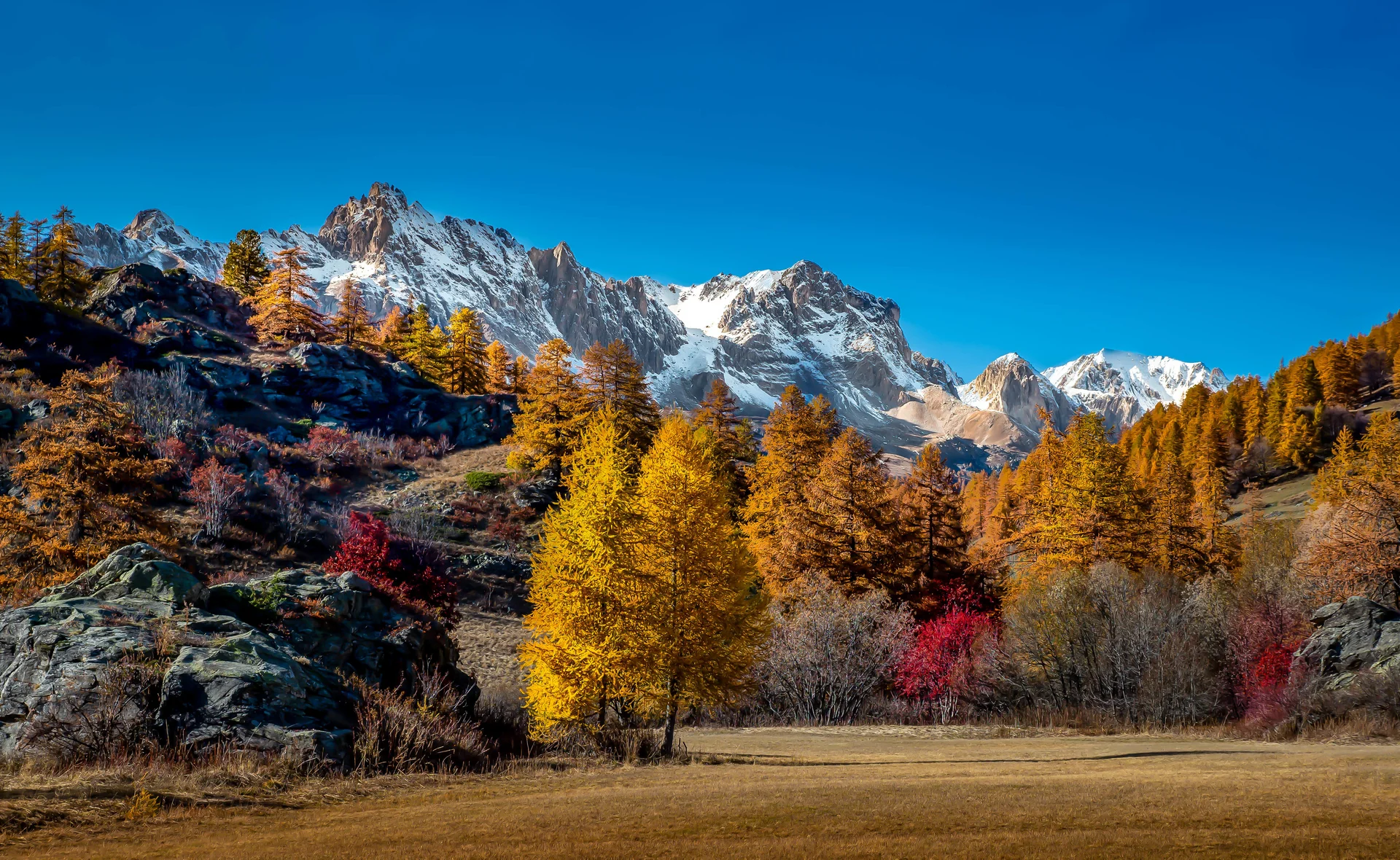 Landscape View Mountains Covered Snow Autumn Trees. Uncategorized wallpaper. 4745×2915px. Free download for personal use.