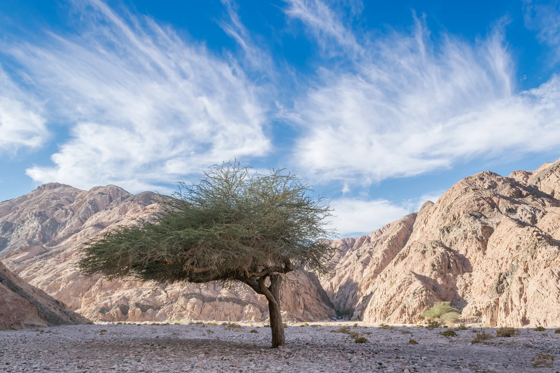 Landscape With Canyon Desert. Nature wallpaper. 4500×3000px. Free download for personal use.