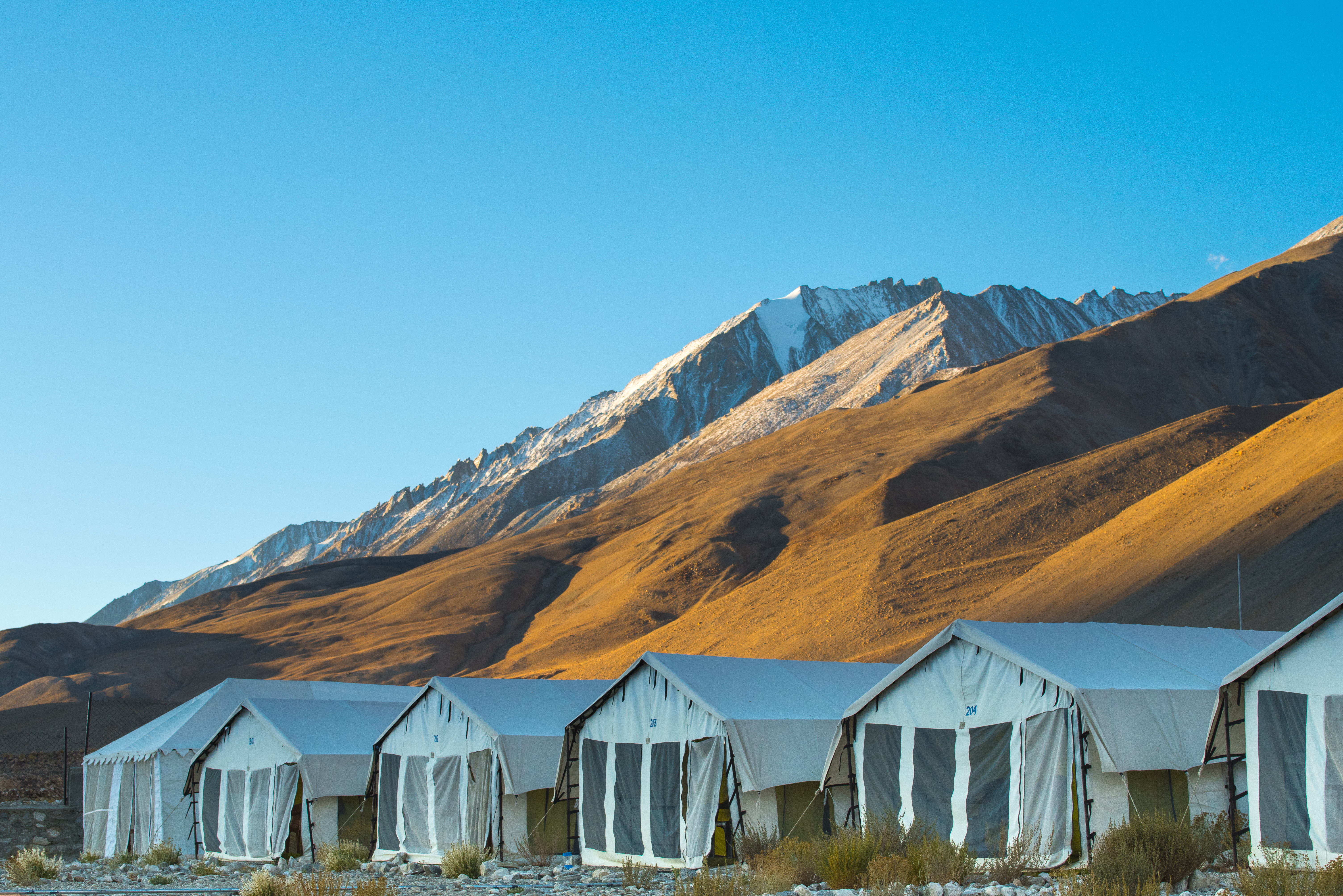 Leh Lardakh India 2017 September 26 Hotel Made From Fabric Tent Focus Ground Cover Bush