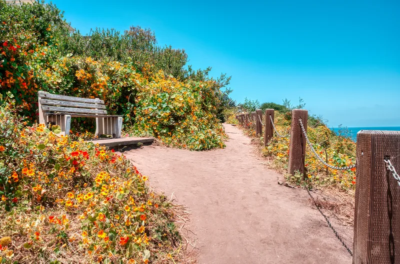 Low Angle Shot Wooden Bench Surrounded With Blooming Flowers Clear Blue Sky