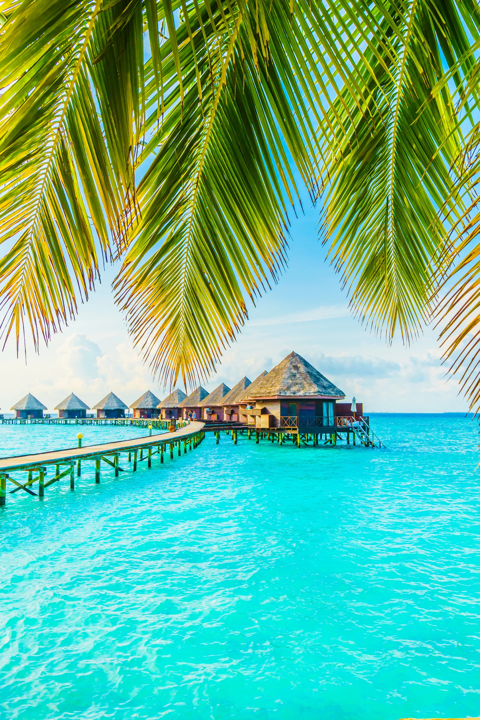 Maldives Island. Uncategorized wallpaper. 4000×6000px. Free download for personal use.