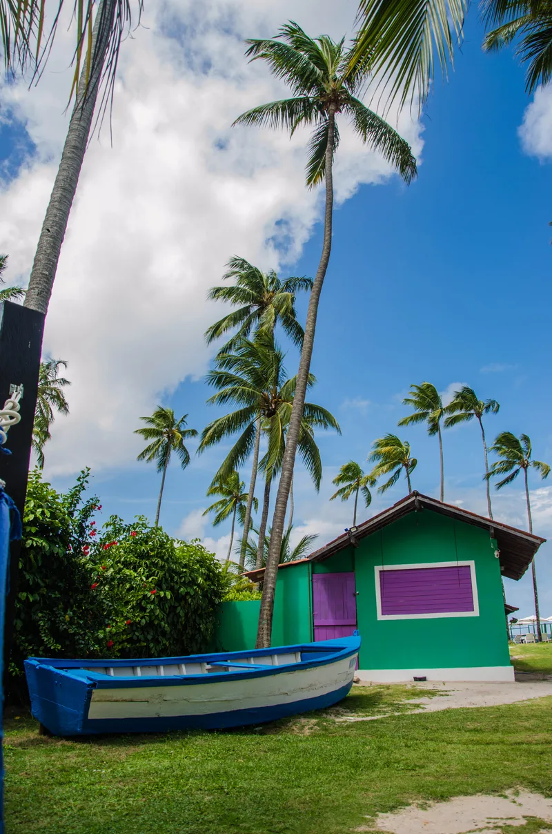 Mar Praia Porto De Galinhas Pernambuco Azul Sol Brasil Nordeste Peixes Peixe Muro Alto Barco Cai