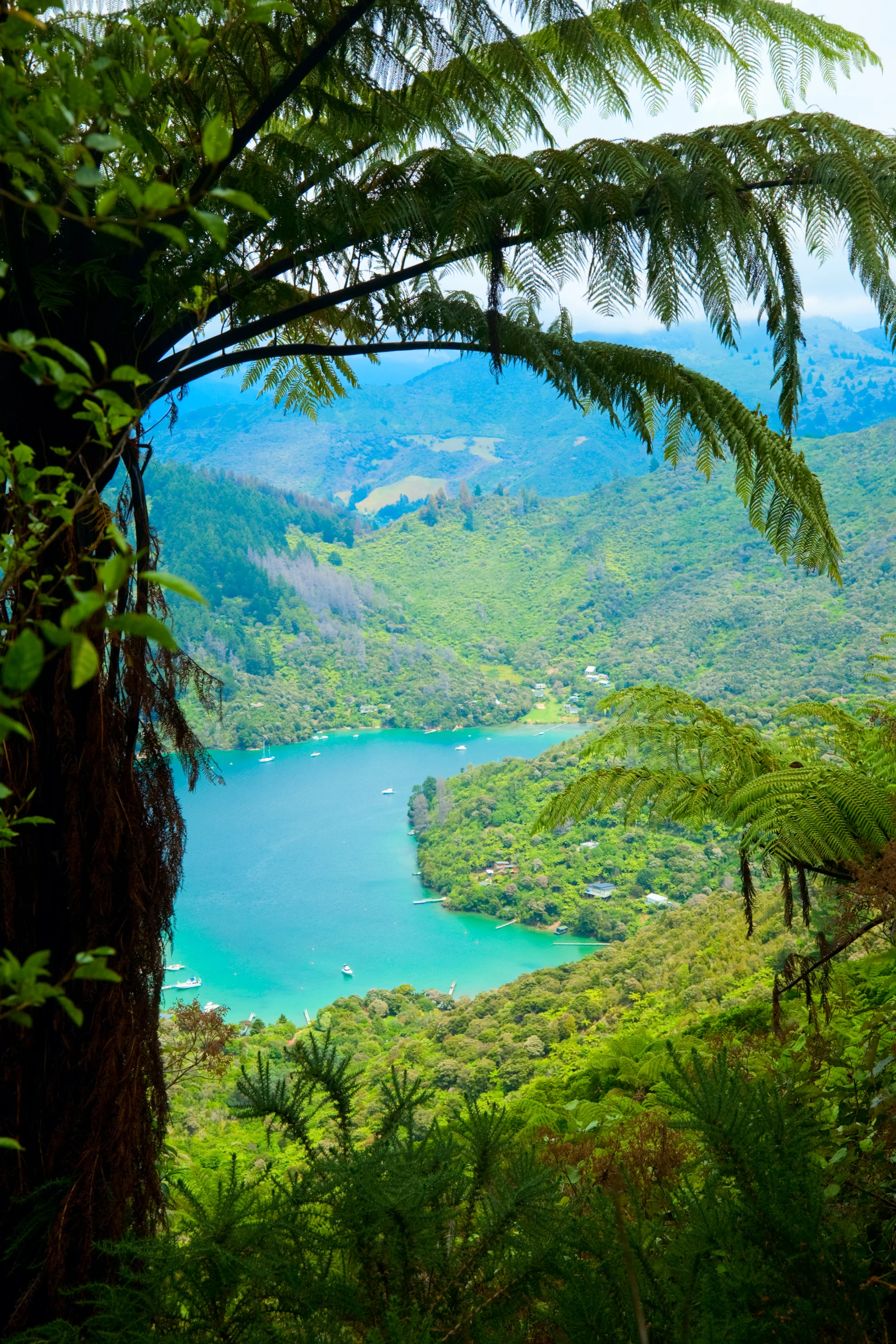 Marlborough Sounds. Uncategorized wallpaper. 2683×4024px. Free download for personal use.