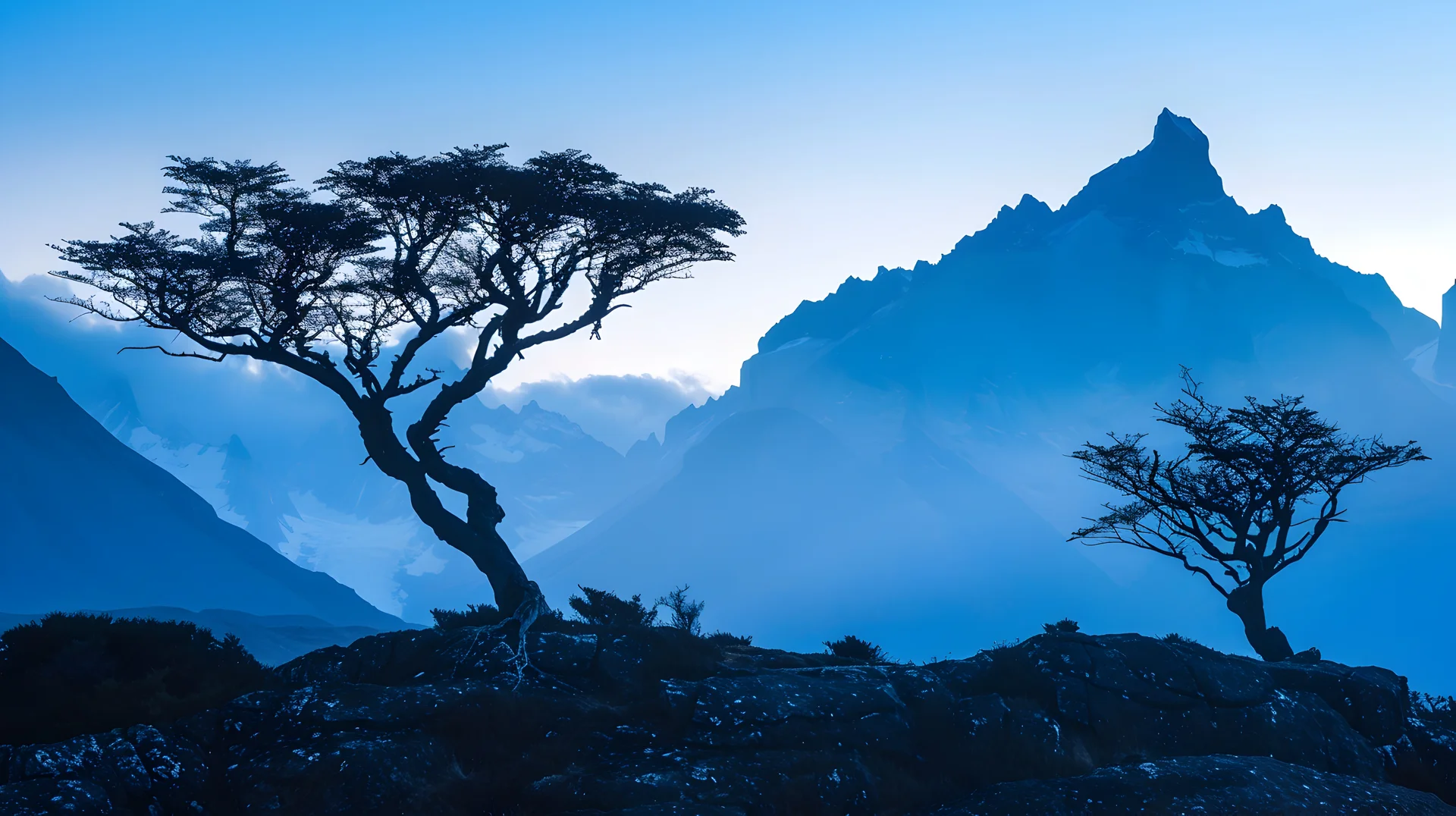 Monkey Puzzle Trees Silhouetted Against Patagonias Iconic Torres Del Paine Mountains. Nature wallpaper. 5824×3264px. Free …