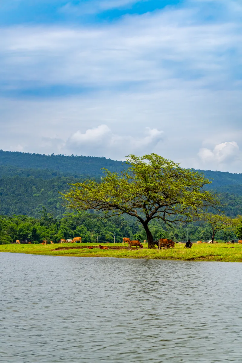 Mountain Natural Photo