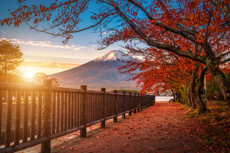 Mt Fuji Lake Kawaguchiko With Autumn Foliage Sunrise Fujikawaguchiko Japan