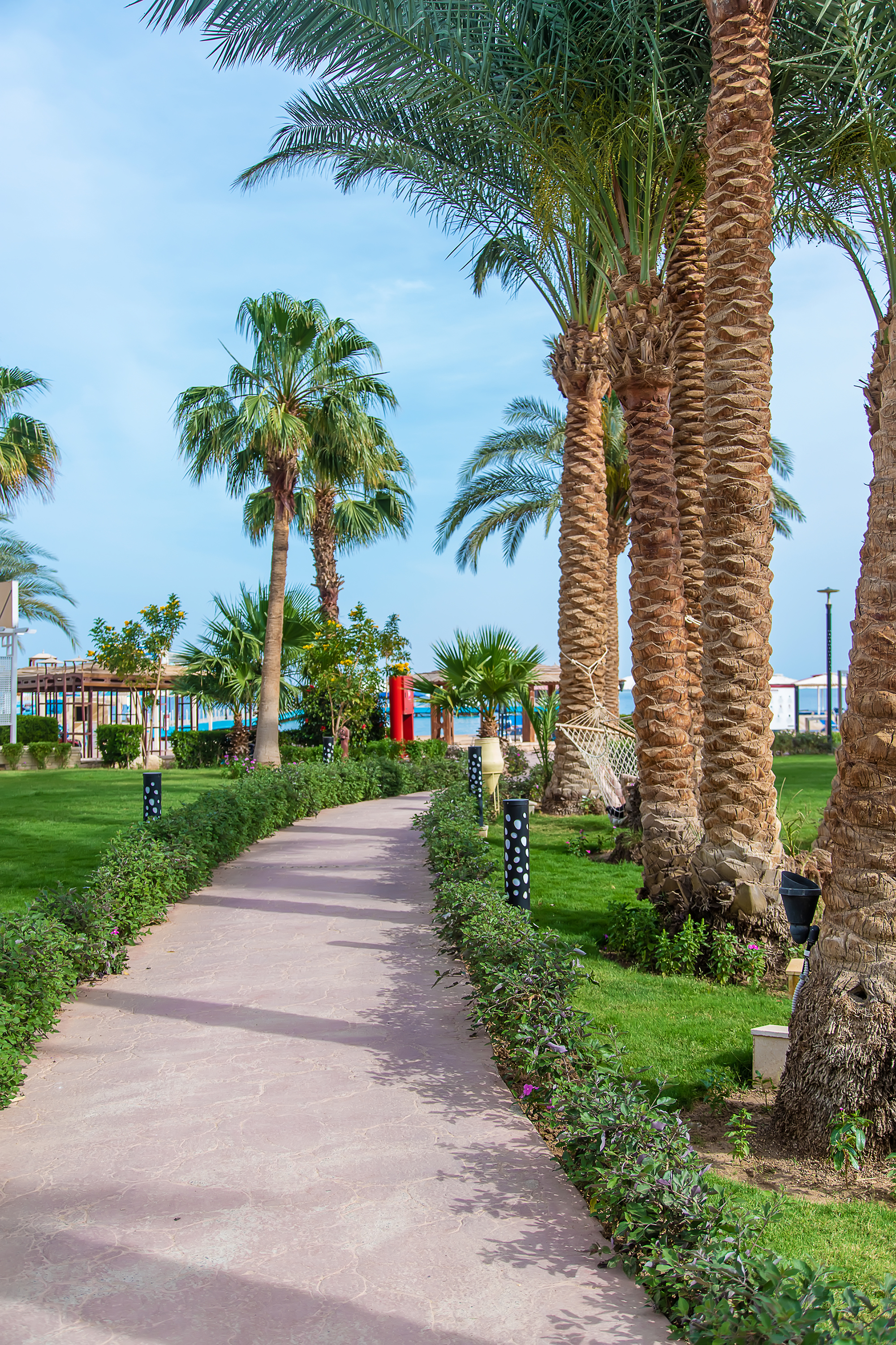 Palm Leaves Alley Beach Nature