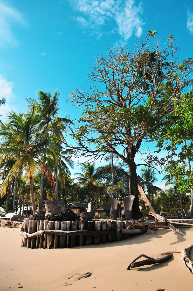 Palm Trees Beach Against Blue Sky
