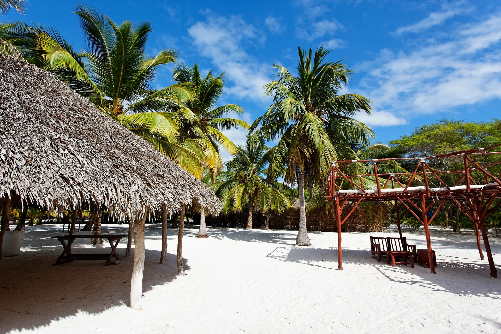 Palm Trees Caribbean Beach. Nature wallpaper. 5616×3744px. Free download for personal use.