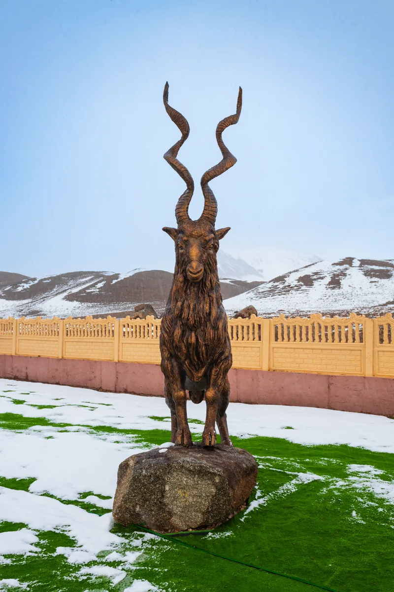 Pamir Wild Sheep Statue Murghab Tajikistan