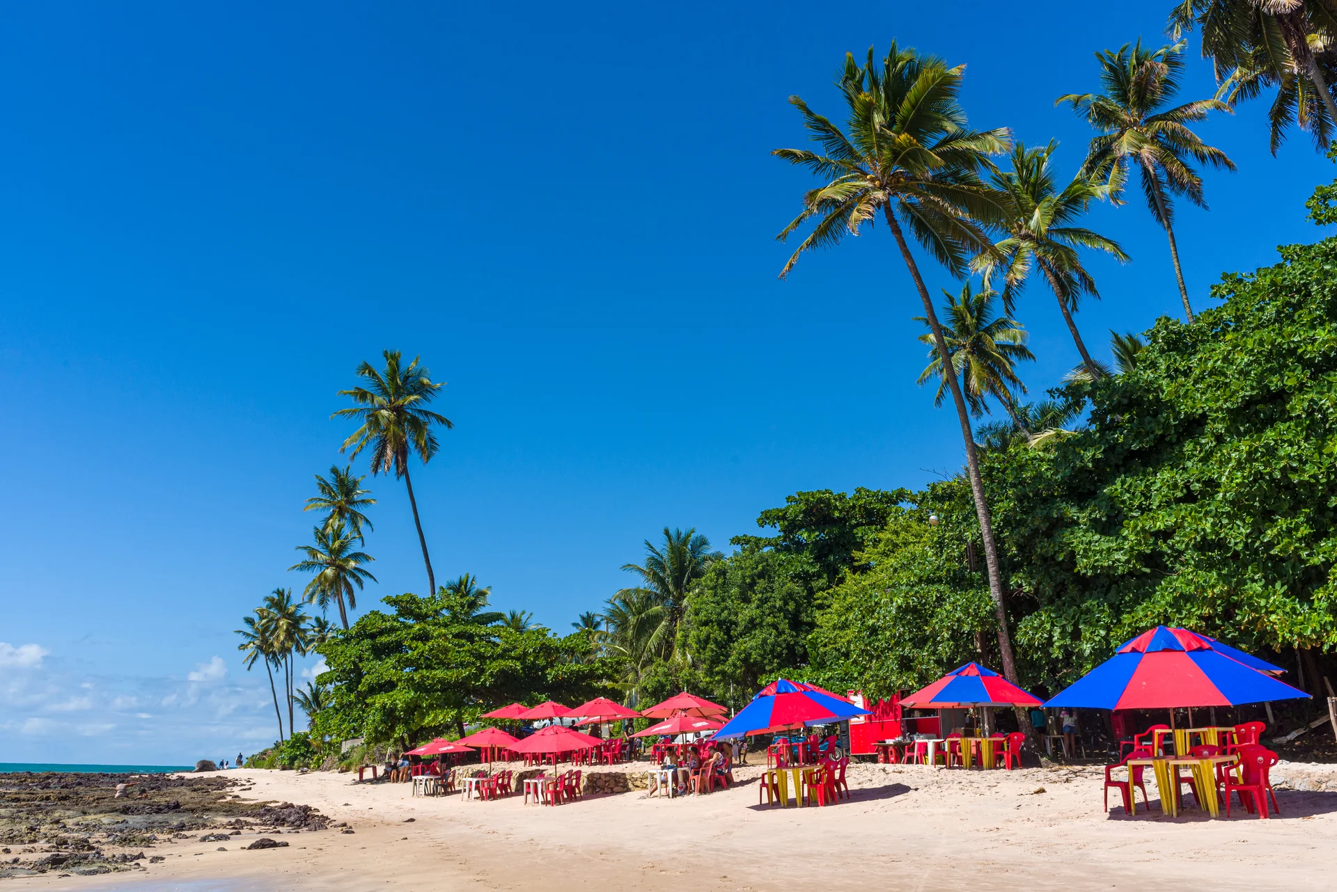 Parasols Native Vegetation Carapibus Beach Conde Paraiba Brazil April 25 2021. Uncategorized wallpaper. 5903×3941px. Free …