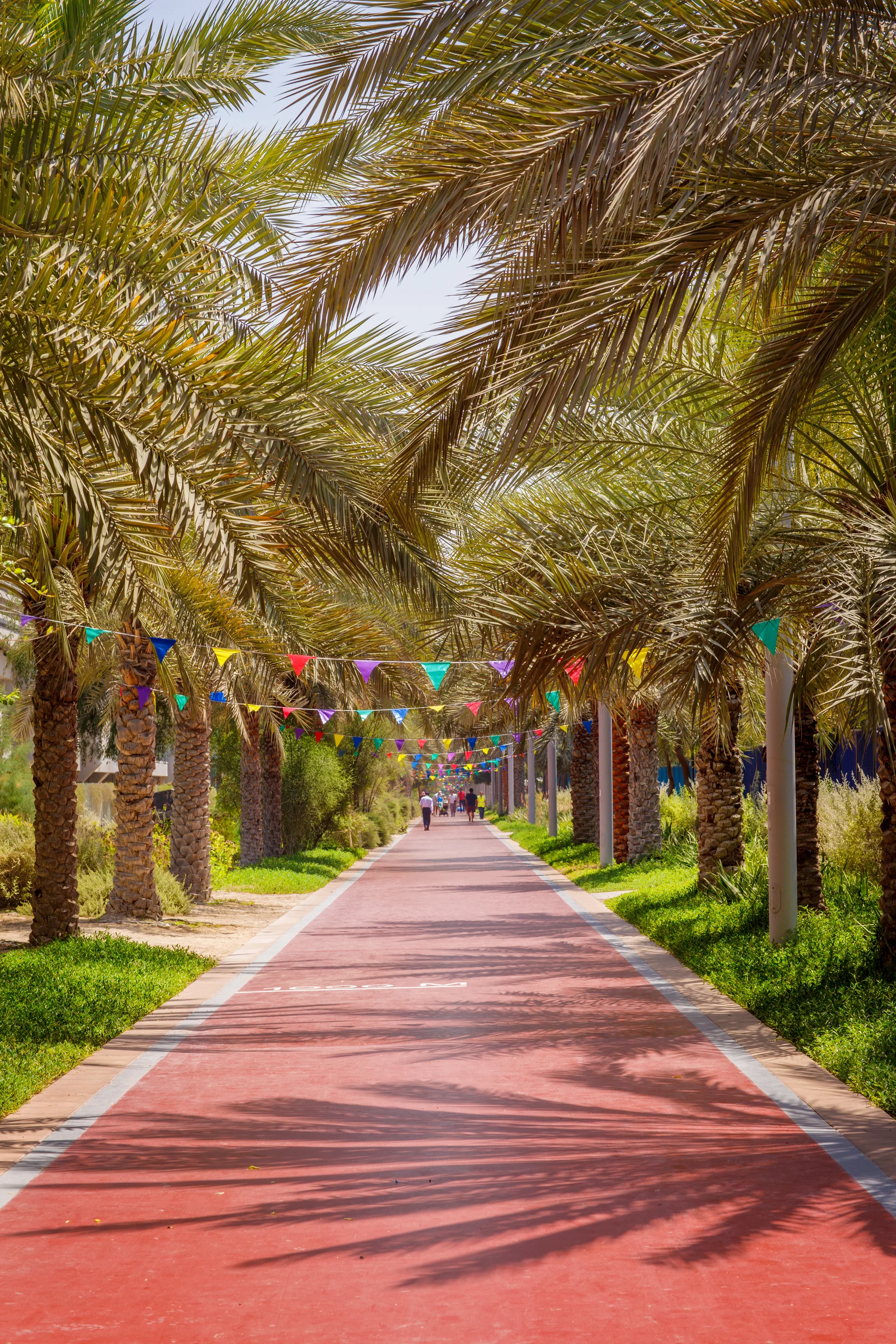Park Walking Sports Palm Jumeirah Dubai. Cars wallpaper. 3744×5616px. Free download for personal use.