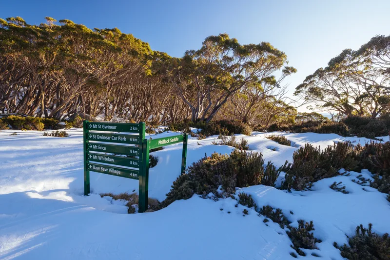 Phillack Saddle Baw Baw Australia