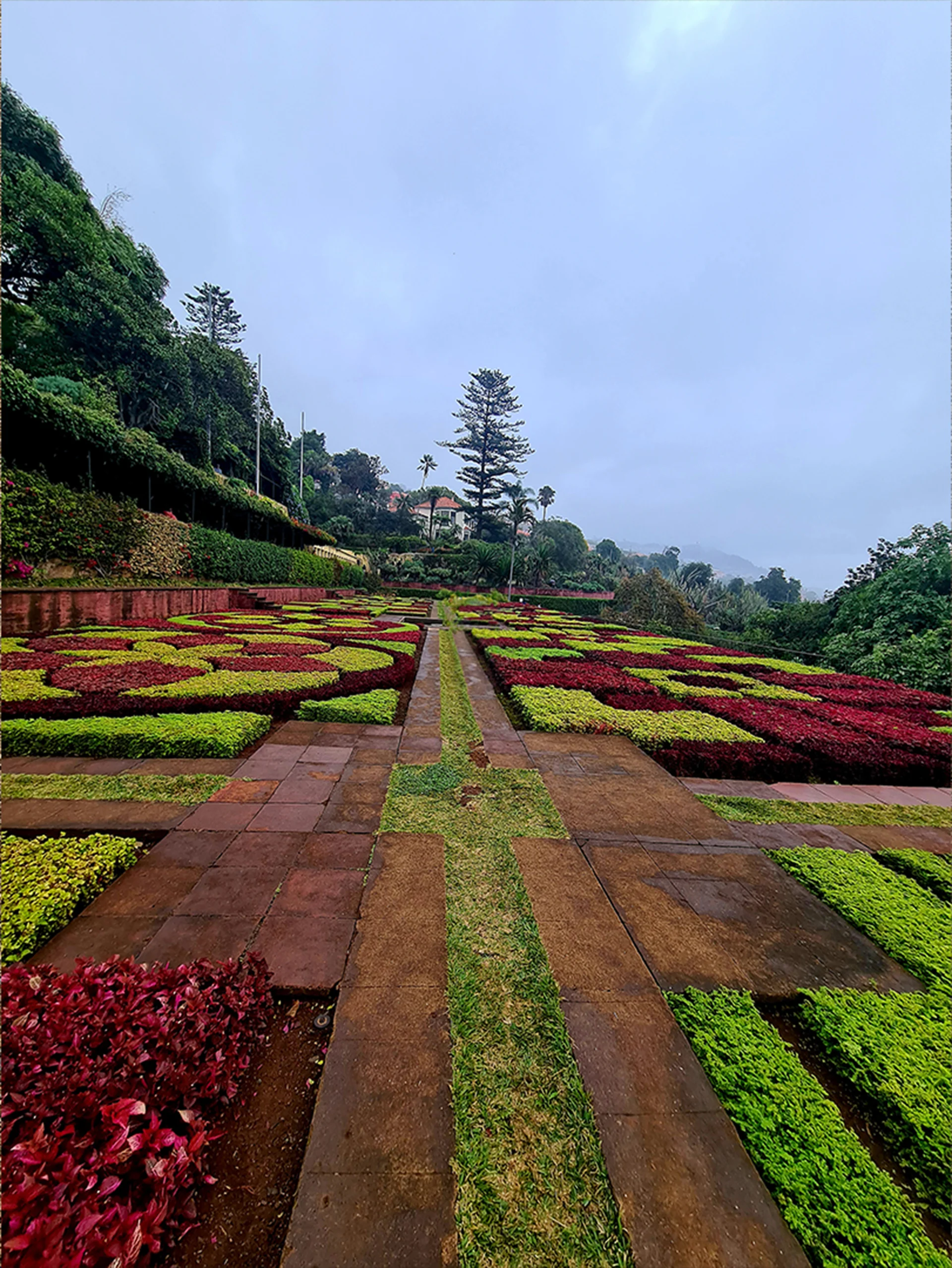 Picture Garden With Large Tree Background. Nature wallpaper. 2433×3240px. Free download for personal use.