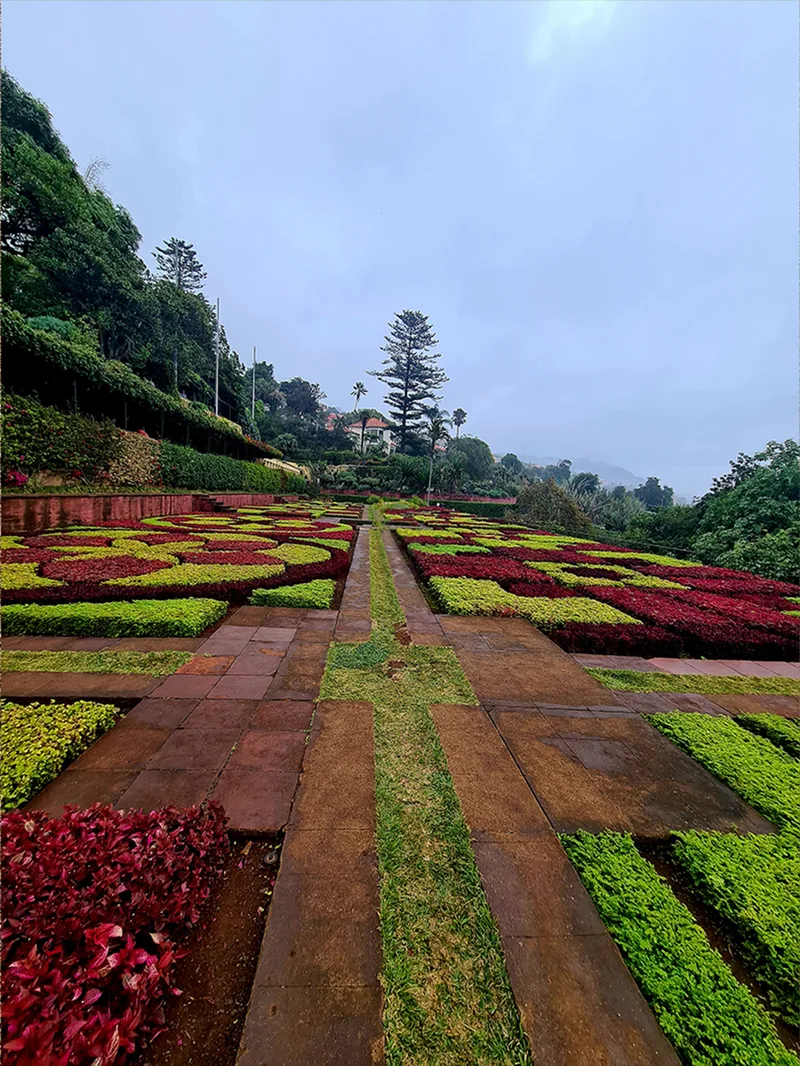 Picture Garden With Large Tree Background