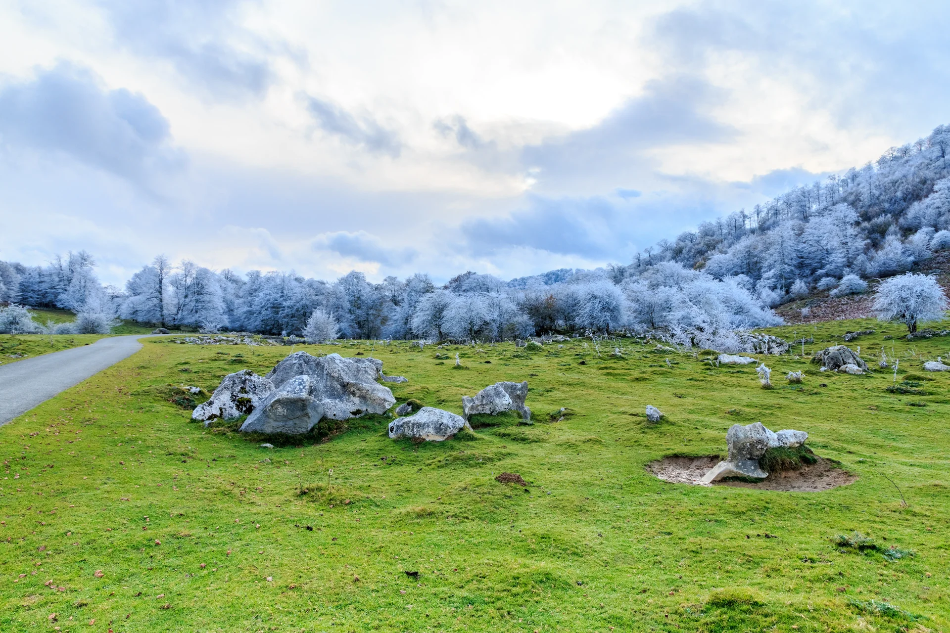Picturesque Landscape With Frosted Trees Green Field Cloudy Sky. Nature wallpaper. 5248×3499px. Free download for personal…