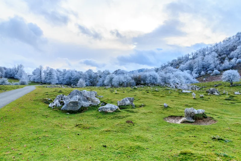 Picturesque Landscape With Frosted Trees Green Field Cloudy Sky