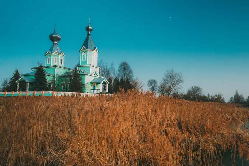 Plants Growing Field Against Sky