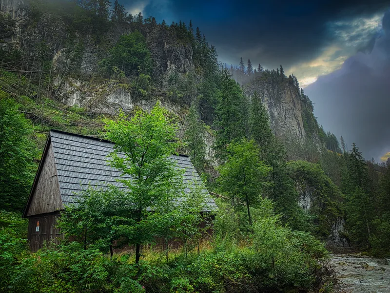 Plants Trees By Building Against Sky
