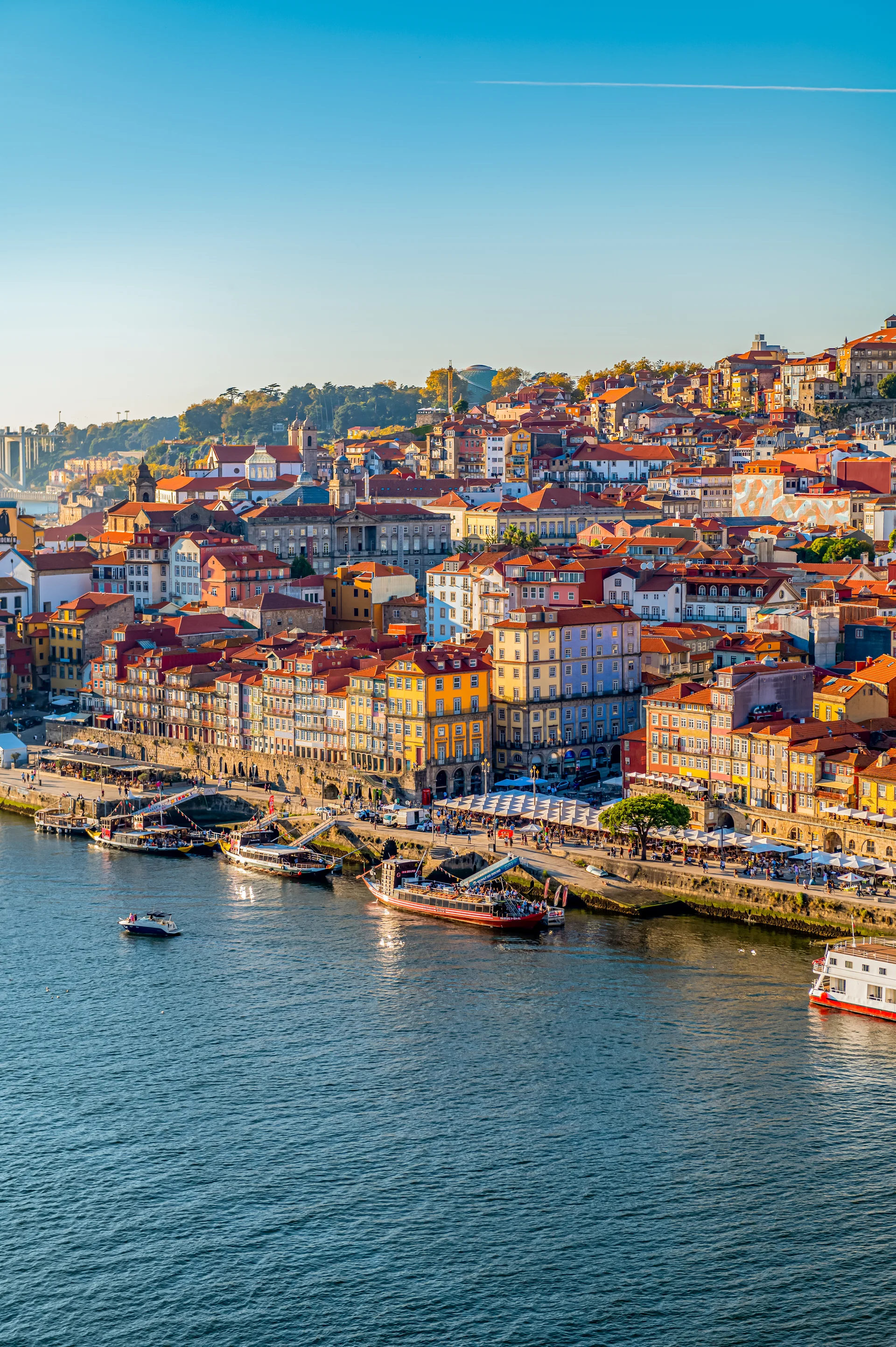Porto City Centre Autumn. Uncategorized wallpaper. 4024×6048px. Free download for personal use.