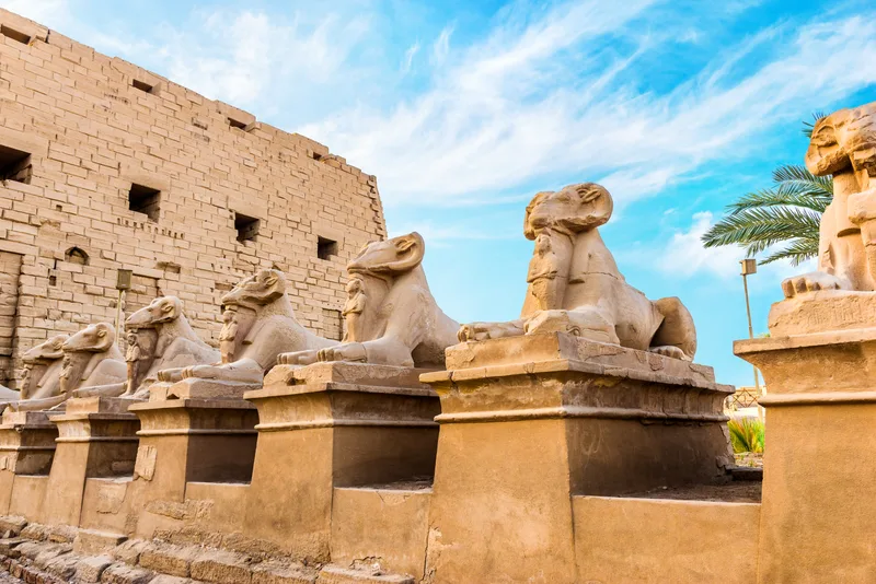 Raw Sphinxes Karnak Temple Luxor Summer Day Egypt
