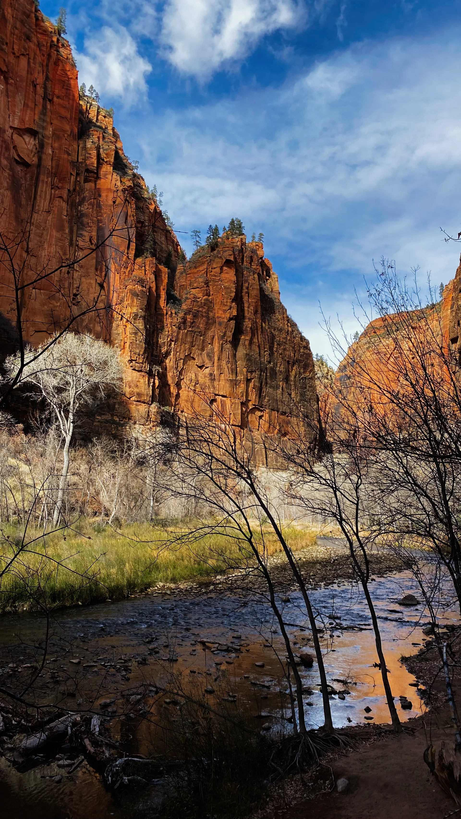 Red Rock Canyon With River Trees Utah Usa Clear Blue Sky. Nature wallpaper. 2202×3916px. Free download for personal use.