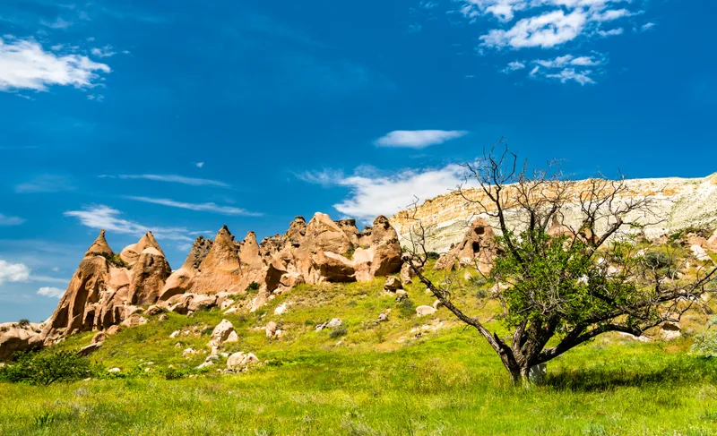 Remains Zelve Monastery Complex Goreme National Park Cappadocia Turkey